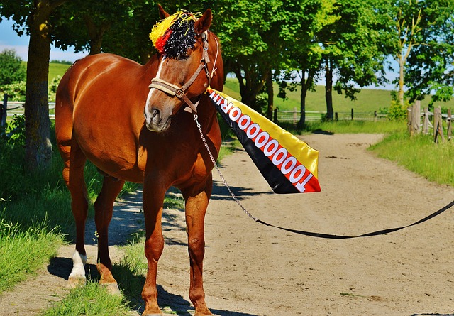 但因失误葬 但因失误葬