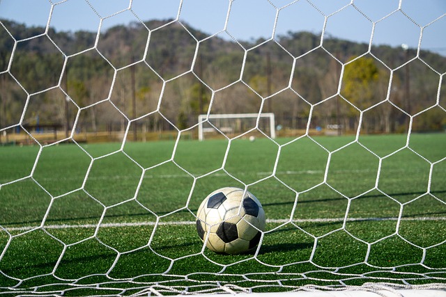 肩膀脱臼通 肩膀脱臼通