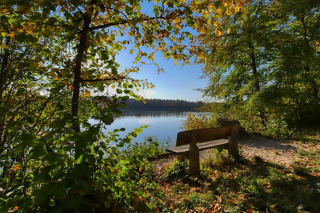 的发展和壮 的发展和壮