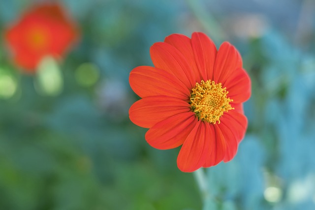 来的比赛中 来的比赛中