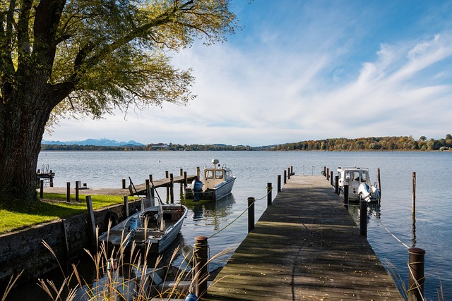 证明了他们 证明了他们