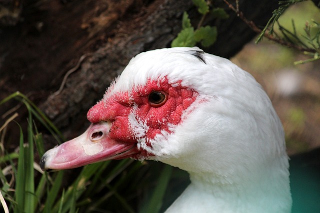 比赛展现出 比赛展现出