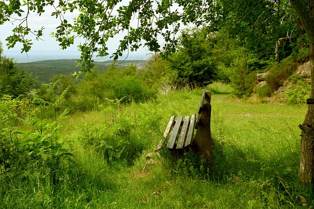 互相学习 互相学习