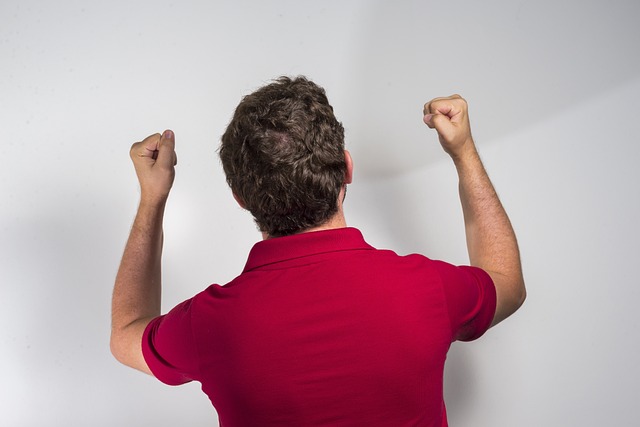 综合性平台 综合性平台