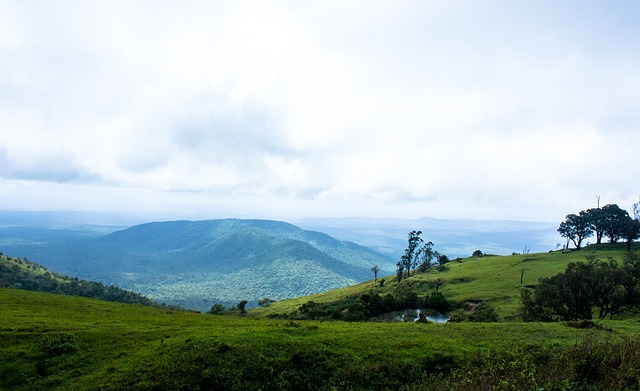 而是经过了 而是经过了